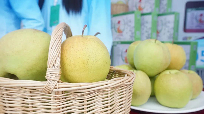 秦皇岛昌黎县富硒面粉（秦皇岛硒分布）-硒宝网