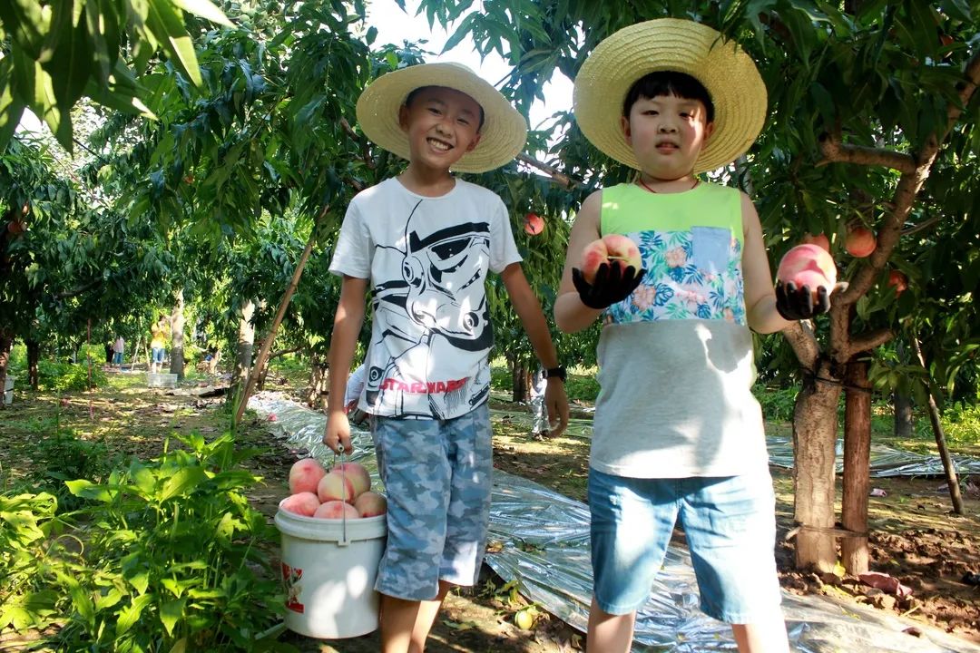 秦皇岛昌黎县富硒面粉（秦皇岛硒分布）-硒宝网