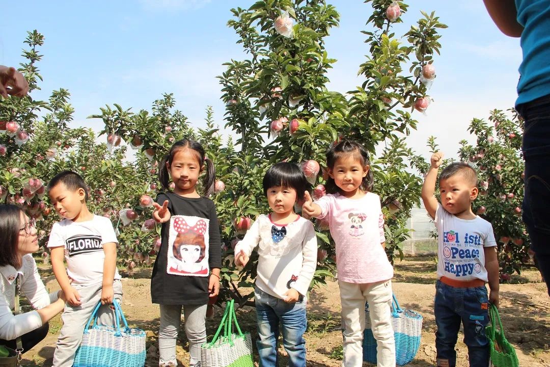 秦皇岛昌黎县富硒面粉（秦皇岛硒分布）-硒宝网