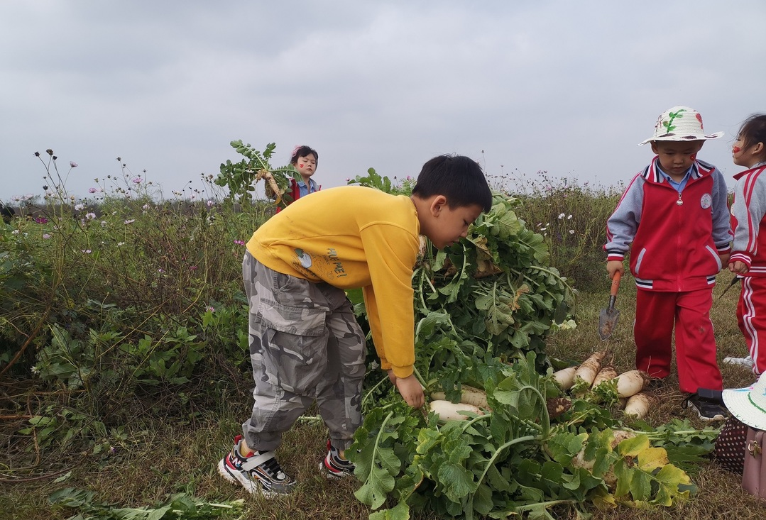 秦皇岛昌黎县富硒面粉（秦皇岛硒分布）-硒宝网