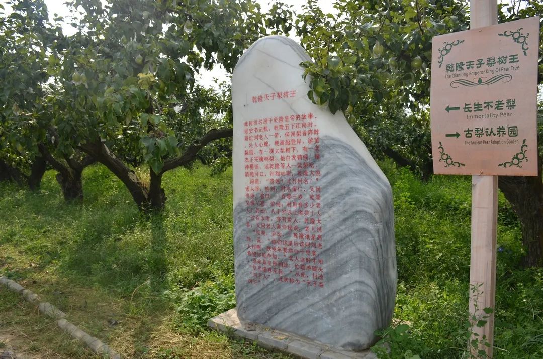 秦皇岛昌黎县富硒面粉（秦皇岛硒分布）-硒宝网