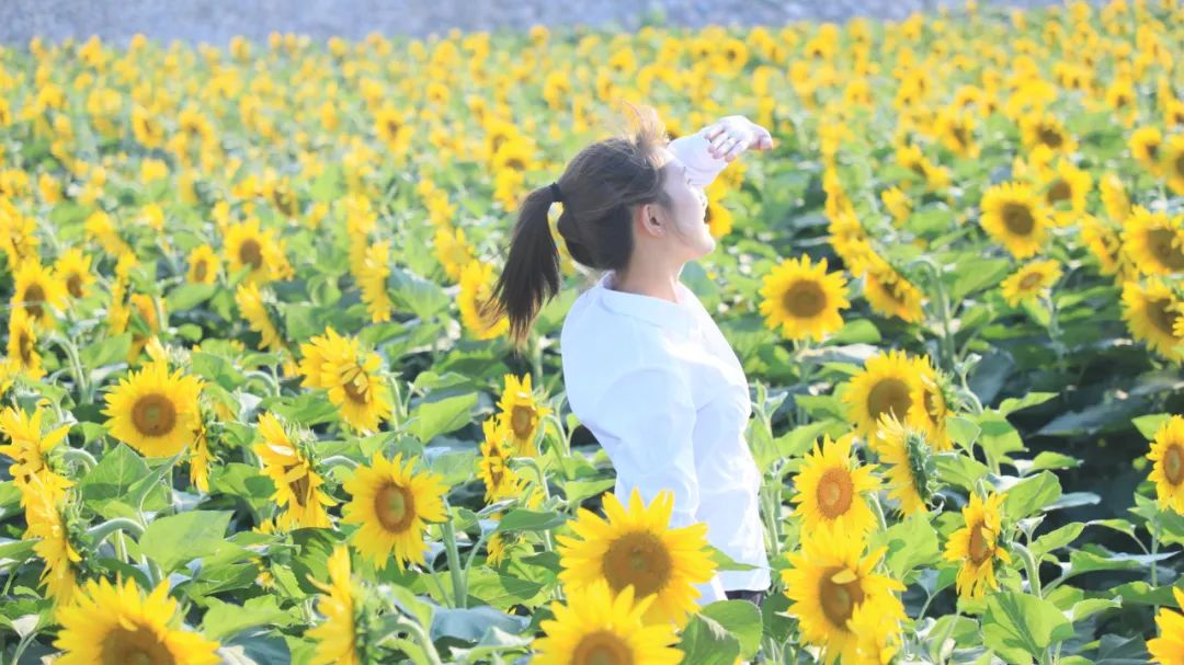 秦皇岛昌黎县富硒面粉（秦皇岛硒分布）-硒宝网