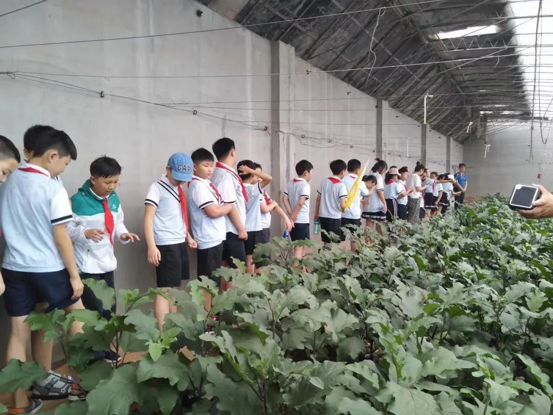 秦皇岛昌黎县富硒面粉（秦皇岛硒分布）-硒宝网