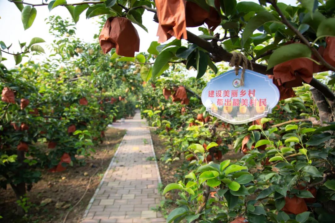 秦皇岛昌黎县富硒面粉（秦皇岛硒分布）-硒宝网