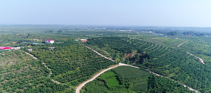 秦皇岛昌黎县富硒面粉（秦皇岛硒分布）-硒宝网
