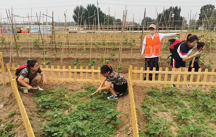 秦皇岛昌黎县富硒面粉（秦皇岛硒分布）-硒宝网
