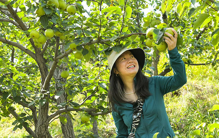 秦皇岛昌黎县富硒面粉（秦皇岛硒分布）-硒宝网