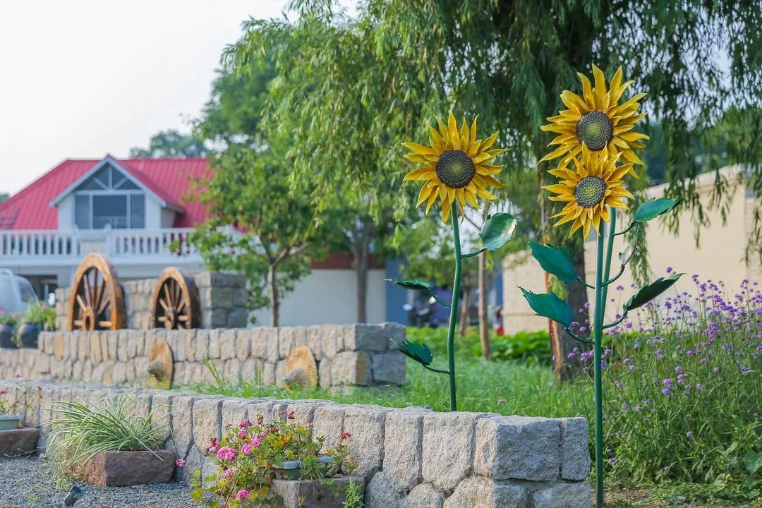 秦皇岛昌黎县富硒面粉（秦皇岛硒分布）-硒宝网