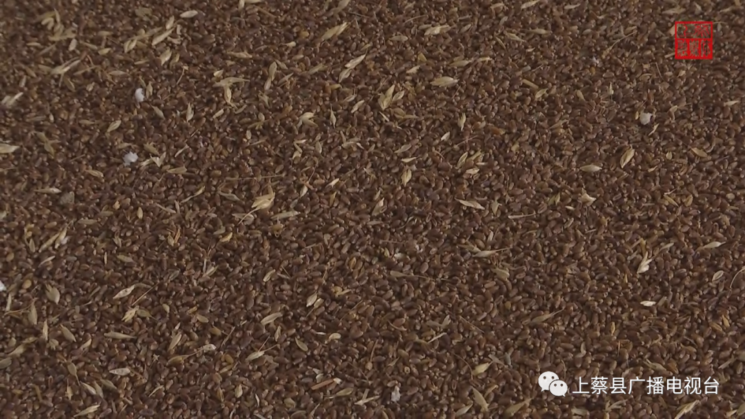 富硒面粉加工机器设备（面粉加工设备价格）-硒宝网