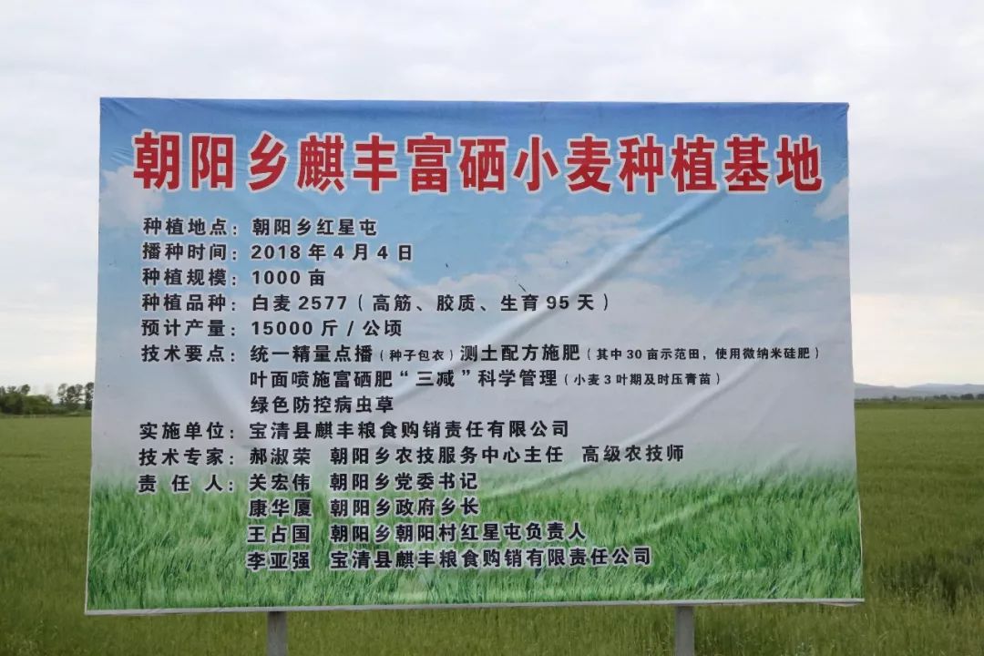 哪的富硒面粉是真的吗（富硒面粉缺点）-硒宝网