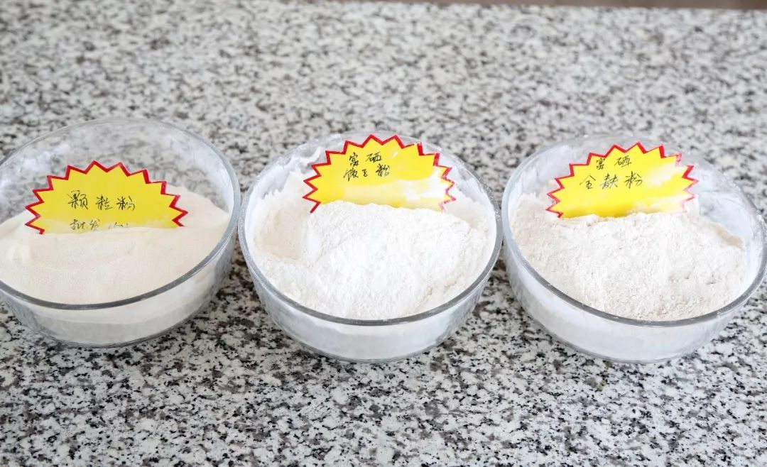 哪的富硒面粉是真的吗（富硒面粉缺点）-硒宝网