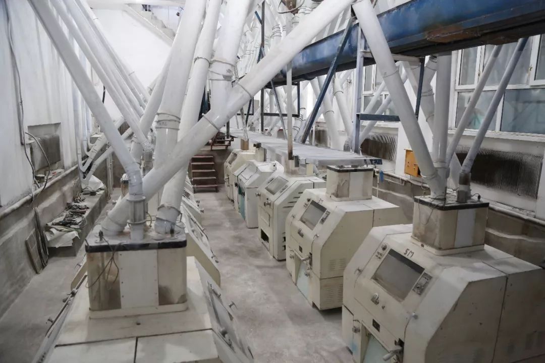 哪的富硒面粉是真的吗（富硒面粉缺点）-硒宝网