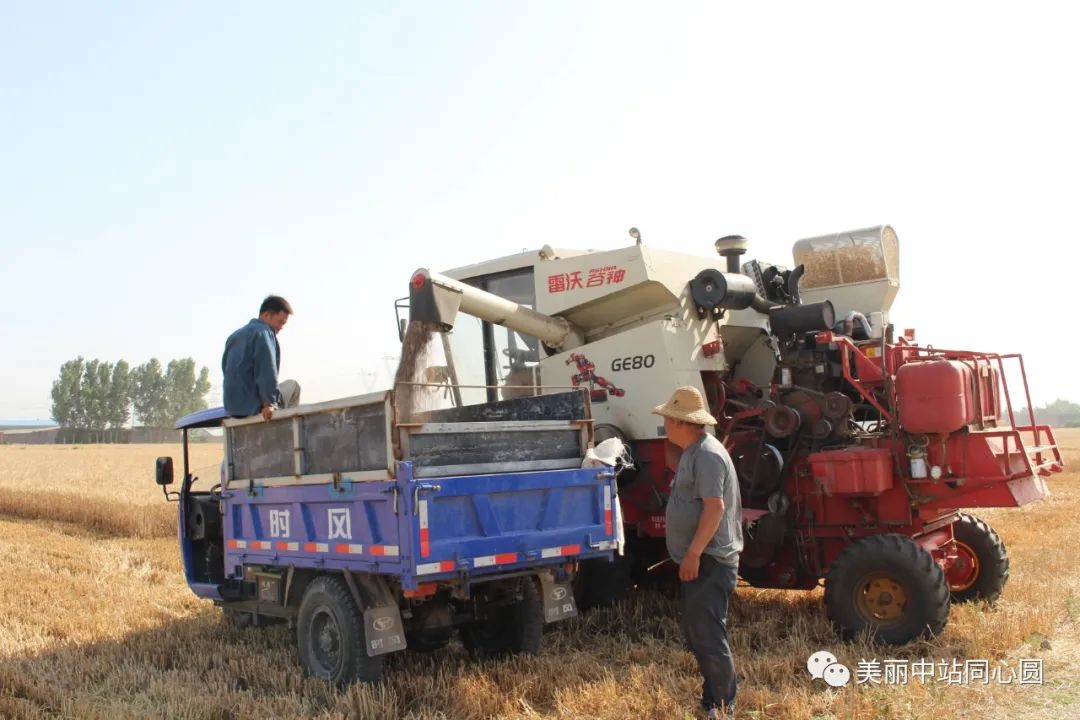 富硒面粉含有氨基酸吗（面粉氨基酸含有富硒蛋白吗）-硒宝网