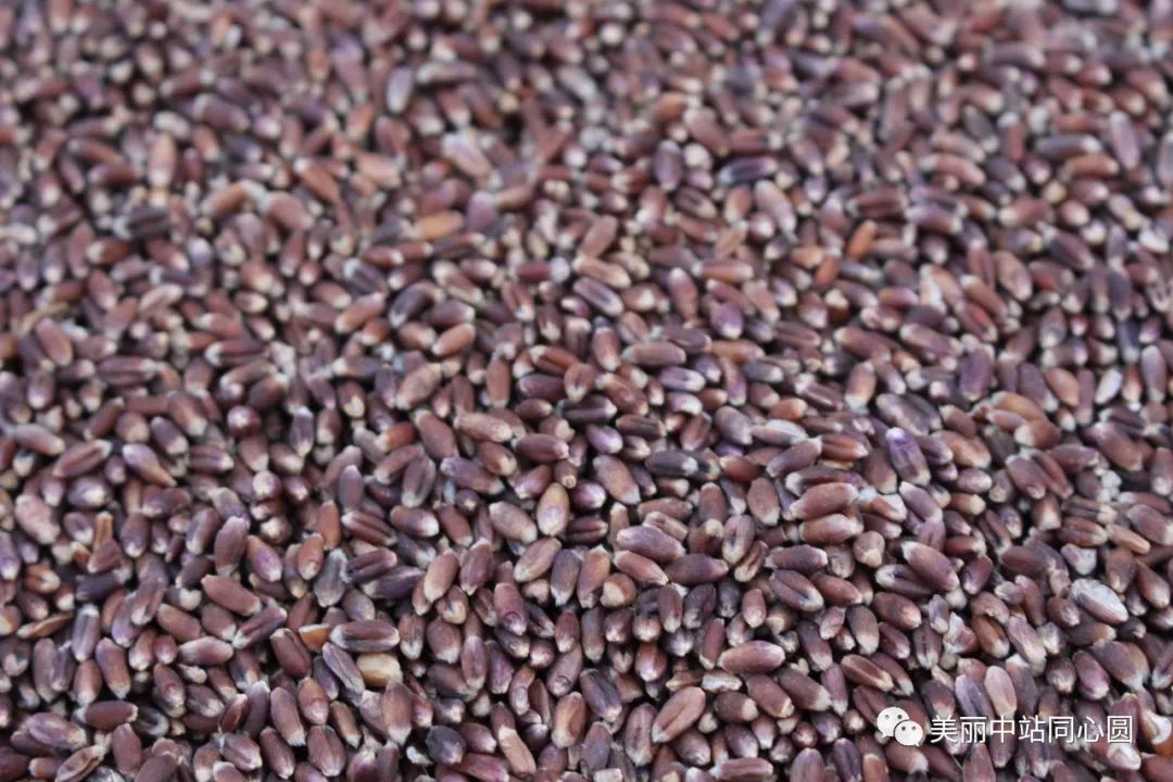 富硒面粉含有氨基酸吗（面粉氨基酸含有富硒蛋白吗）-硒宝网