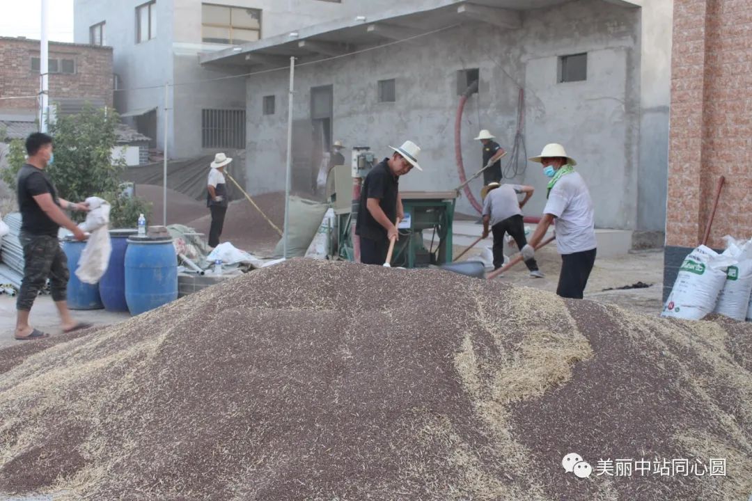 富硒面粉含有氨基酸吗（面粉氨基酸含有富硒蛋白吗）-硒宝网