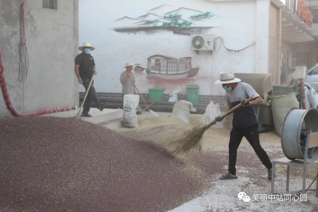 富硒面粉含有氨基酸吗（面粉氨基酸含有富硒蛋白吗）-硒宝网