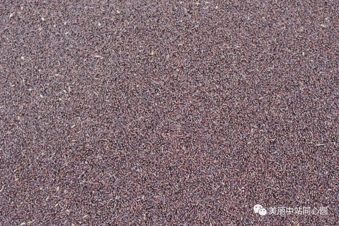 富硒面粉含有氨基酸吗（面粉氨基酸含有富硒蛋白吗）-硒宝网