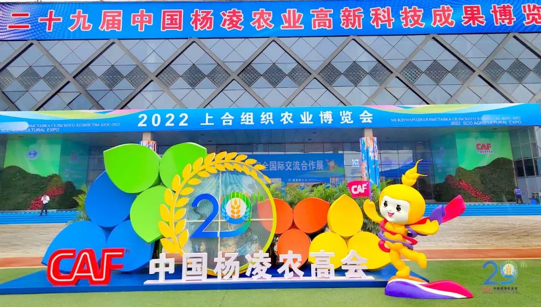 哈萨克斯坦面粉富硒吗(哈萨克斯坦面粉价格)-硒宝网