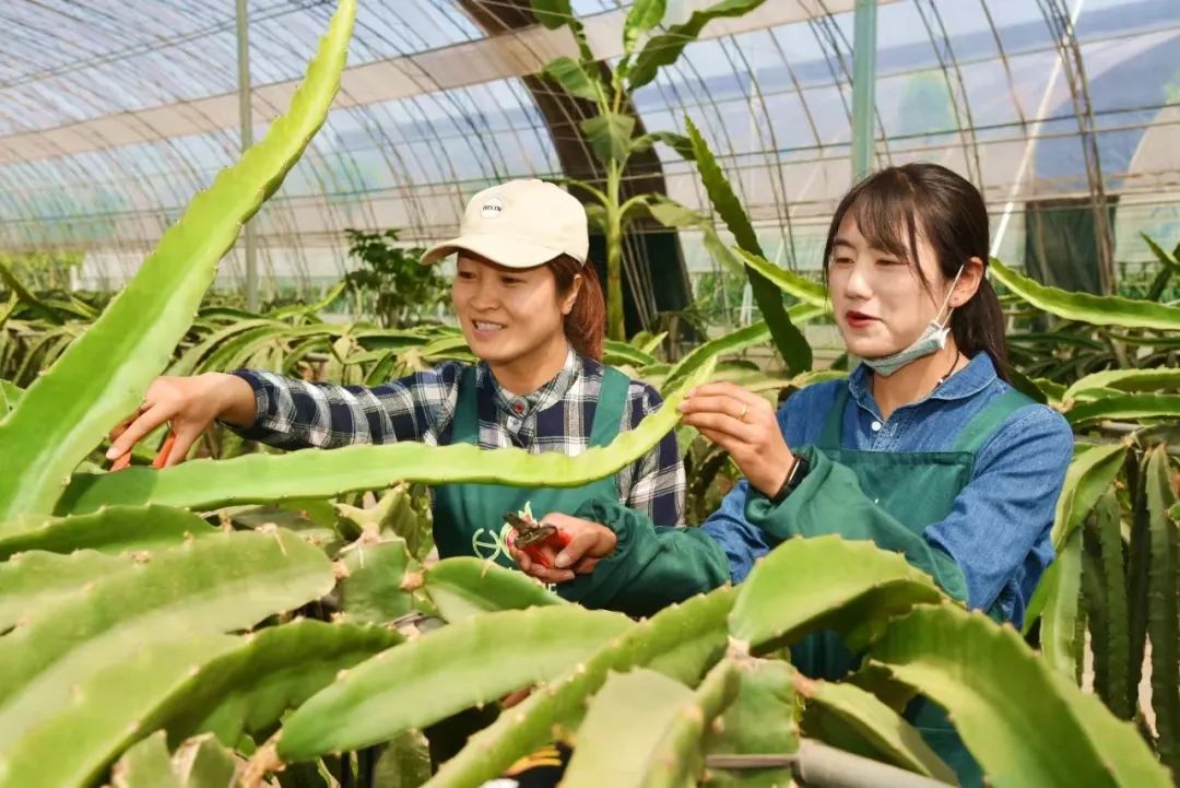 哈萨克斯坦面粉富硒吗(哈萨克斯坦面粉价格)-硒宝网