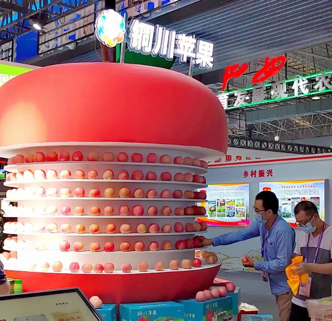 哈萨克斯坦面粉富硒吗(哈萨克斯坦面粉价格)-硒宝网