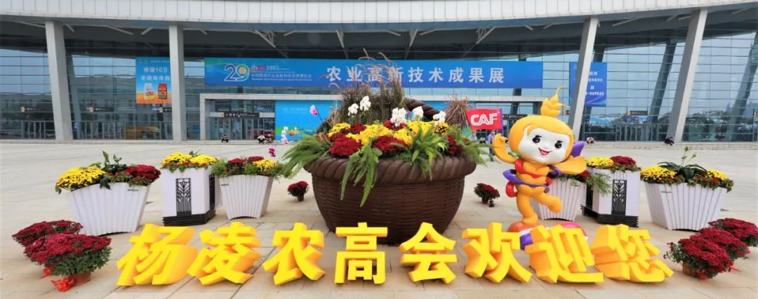 哈萨克斯坦面粉富硒吗(哈萨克斯坦面粉价格)-硒宝网