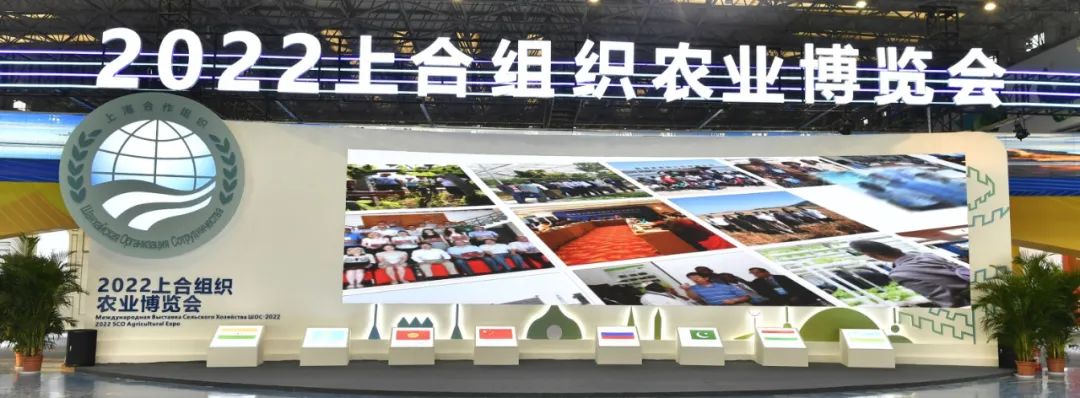 哈萨克斯坦面粉富硒吗(哈萨克斯坦面粉价格)-硒宝网