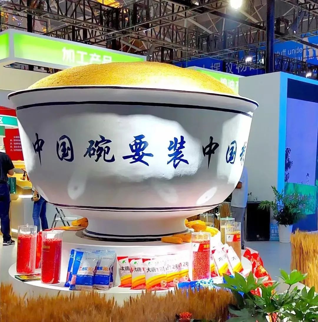 哈萨克斯坦面粉富硒吗(哈萨克斯坦面粉价格)-硒宝网