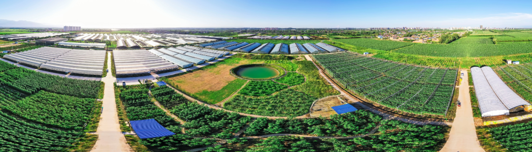 哈萨克斯坦面粉富硒吗(哈萨克斯坦面粉价格)-硒宝网