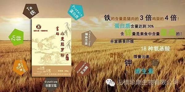 富硒面粉含有氨基酸吗(面粉氨基酸含有富硒吗)-硒宝网