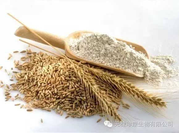富硒面粉含有氨基酸吗(面粉氨基酸含有富硒吗)-硒宝网