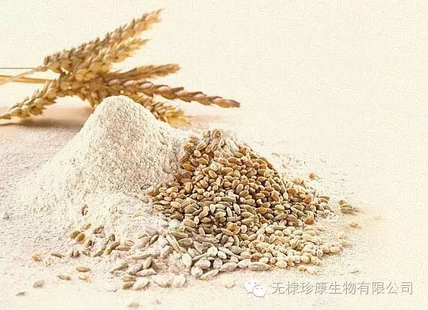 富硒面粉含有氨基酸吗(面粉氨基酸含有富硒吗)-硒宝网