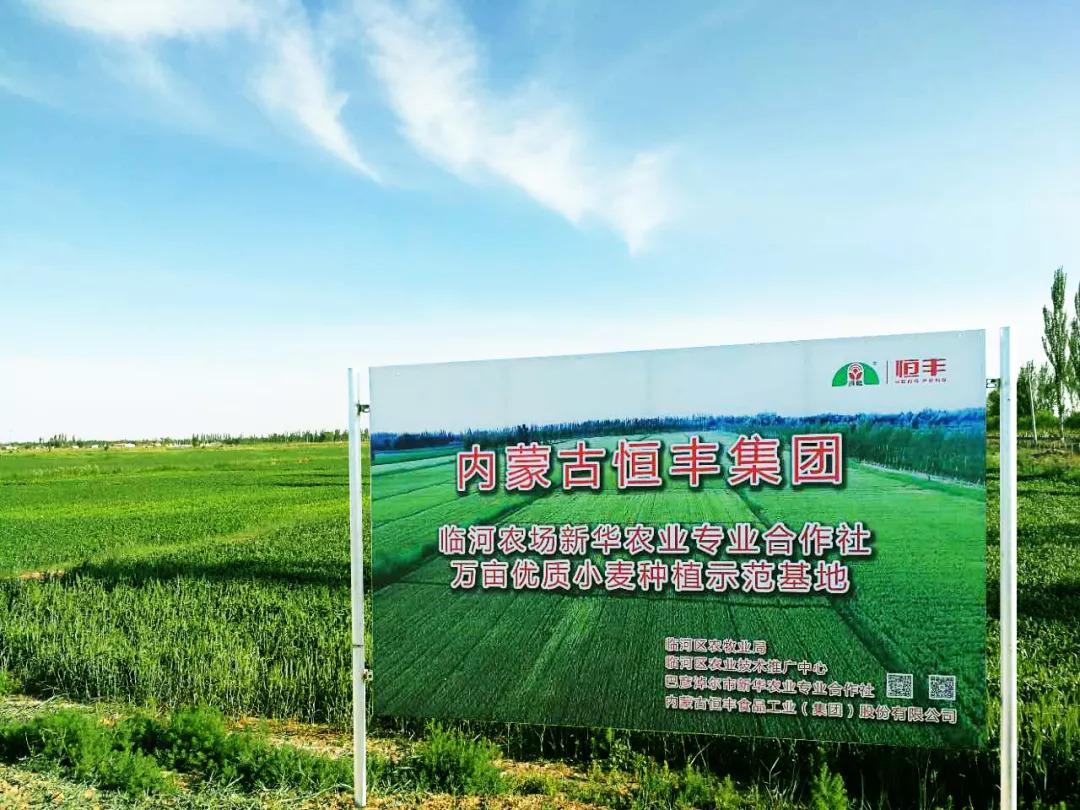 富硒面粉能不能做拉面（富硒挂面）-硒宝网