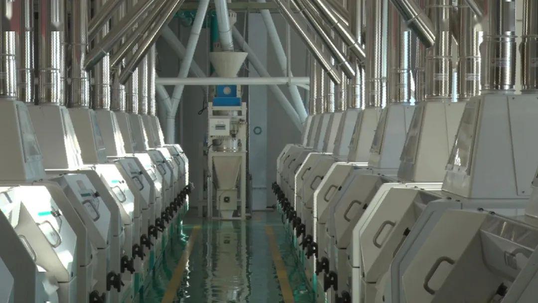 富硒面粉出全麦面区别(富硒小麦面粉多少钱一斤)-硒宝网