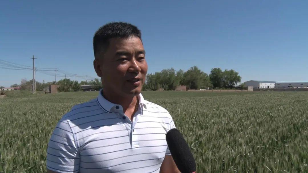 富硒面粉出全麦面区别(富硒小麦面粉多少钱一斤)-硒宝网