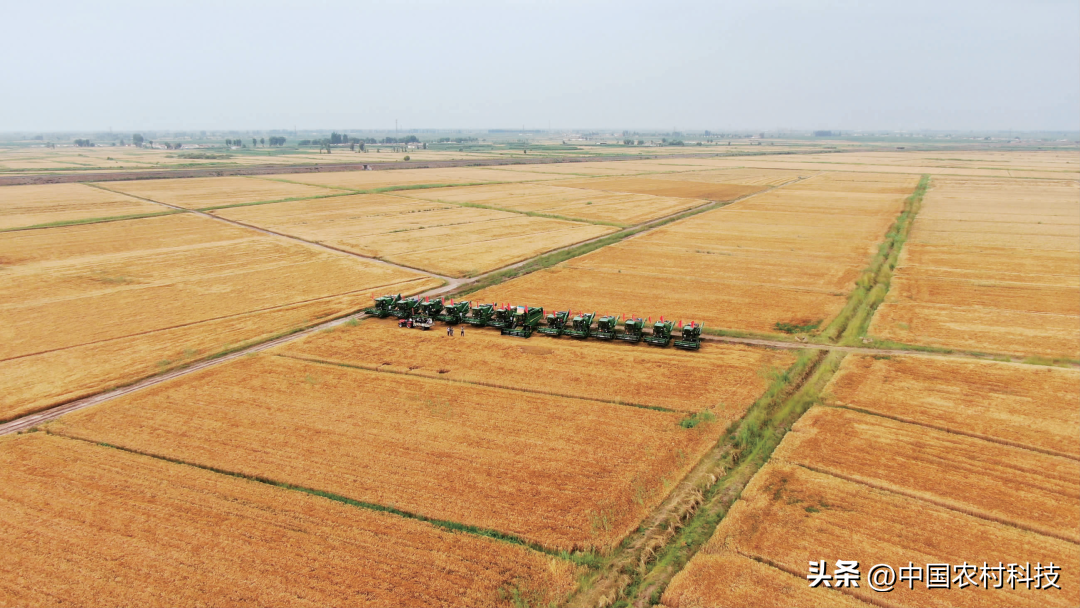 富硒面粉能不能做拉面(富硒面条)-硒宝网