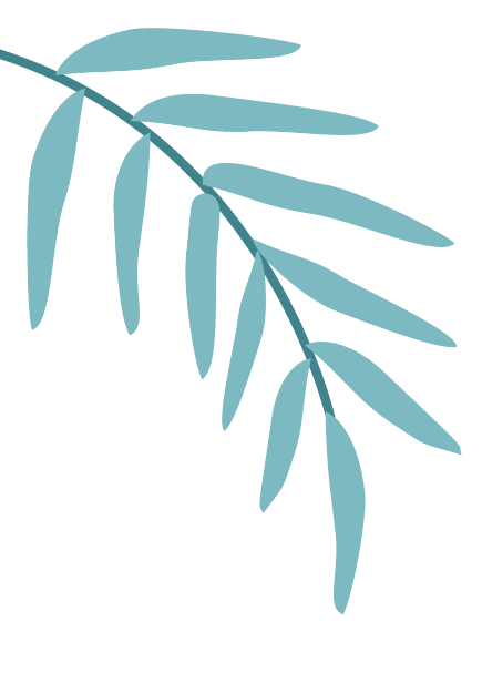 江西丰城富硒蔬菜大棚(江西最大大棚蔬菜基地)-硒宝网