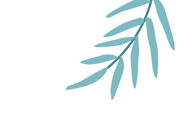 江西丰城富硒蔬菜大棚(江西最大大棚蔬菜基地)-硒宝网