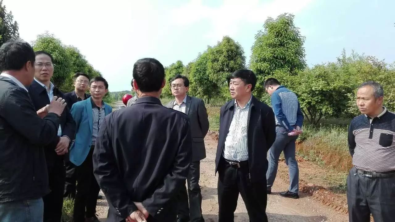 江西丰城富硒蔬菜大棚（江西蔬菜大棚厂家）-硒宝网