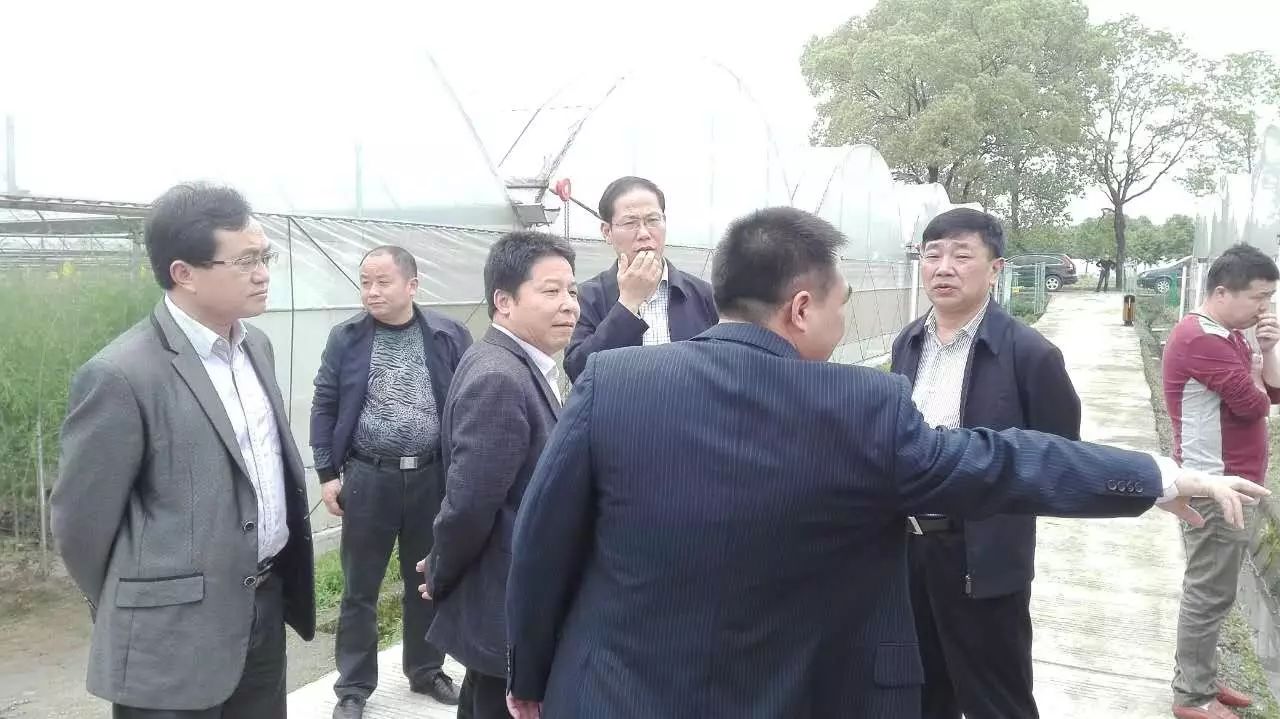 江西丰城富硒蔬菜大棚（江西蔬菜大棚厂家）-硒宝网