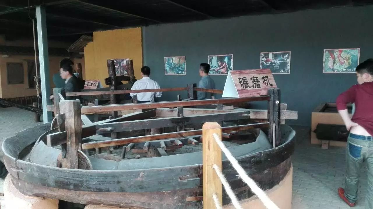 江西丰城富硒蔬菜大棚（江西蔬菜大棚厂家）-硒宝网