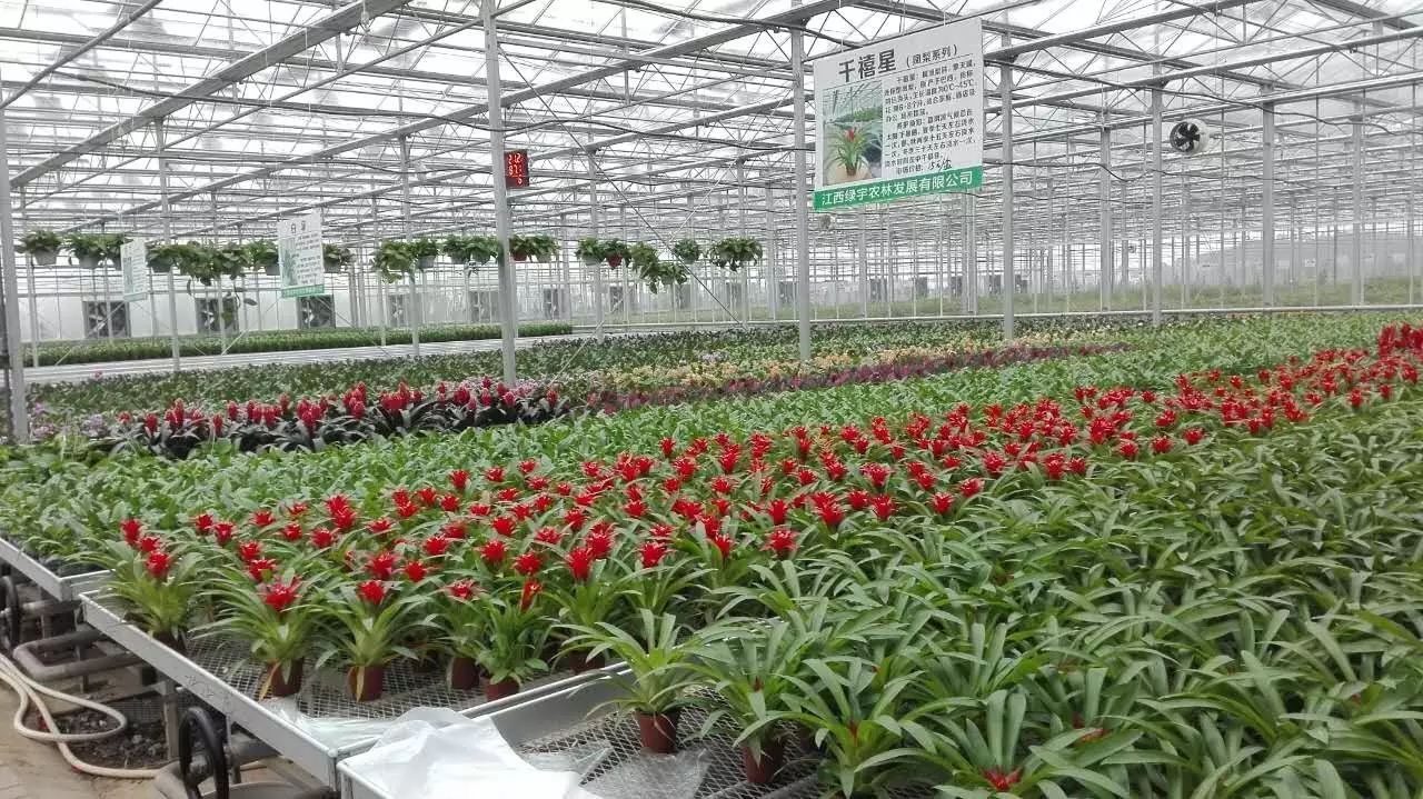 江西丰城富硒蔬菜大棚（江西蔬菜大棚厂家）-硒宝网