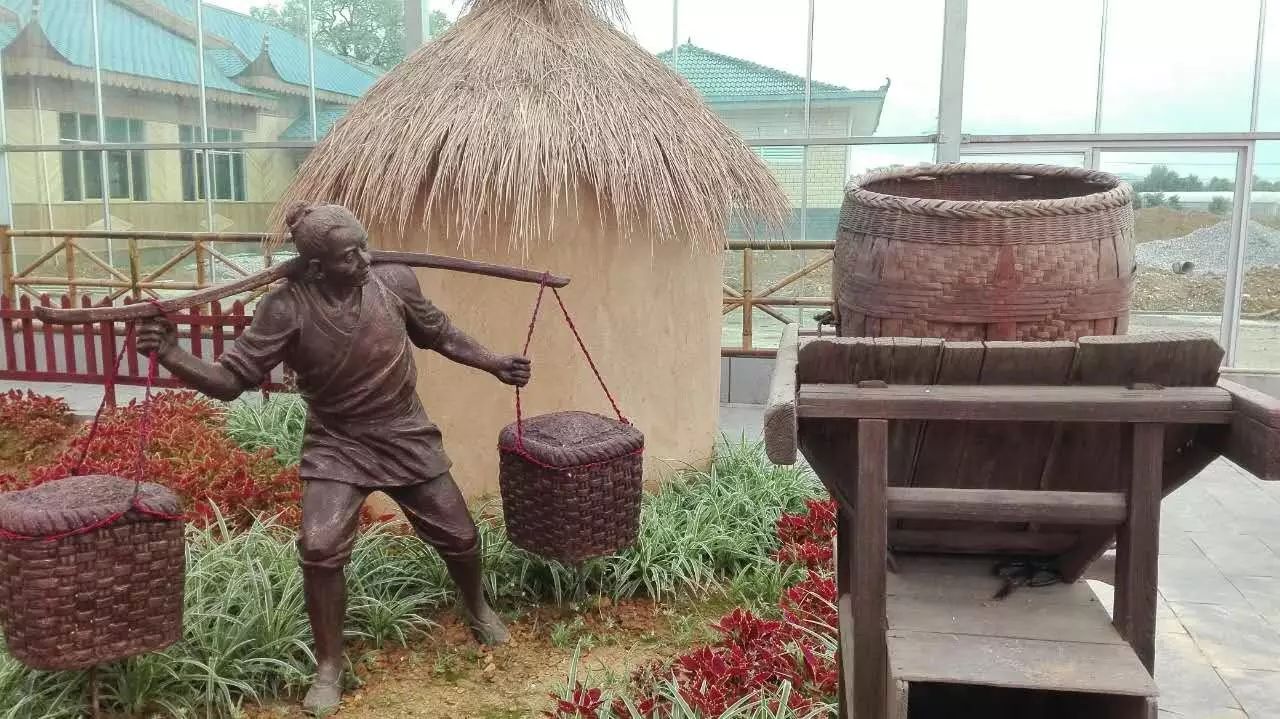 江西丰城富硒蔬菜大棚（江西蔬菜大棚厂家）-硒宝网