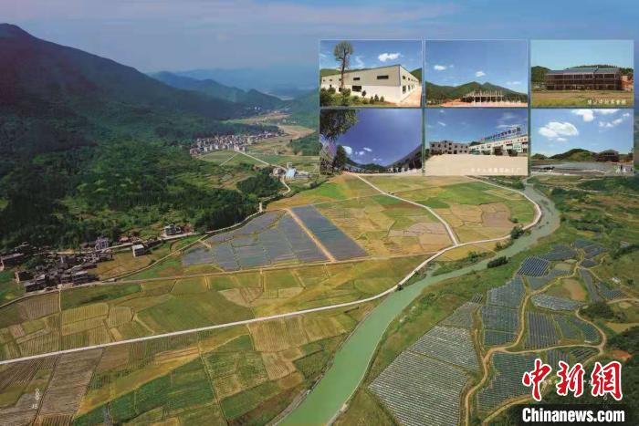 怎样使蔬菜成为富硒菜(蔬菜菜富硒使成为什么肥料)-硒宝网