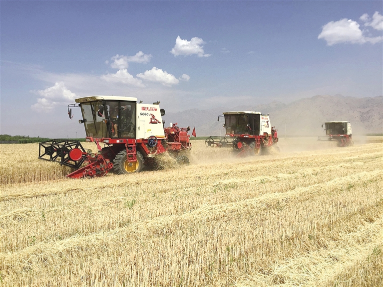 河套面粉5公斤富硒粉(富硒面粉和普通面粉有什么区别)-硒宝网