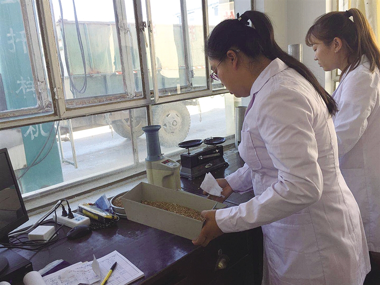 河套面粉5公斤富硒粉(富硒面粉和普通面粉有什么区别)-硒宝网