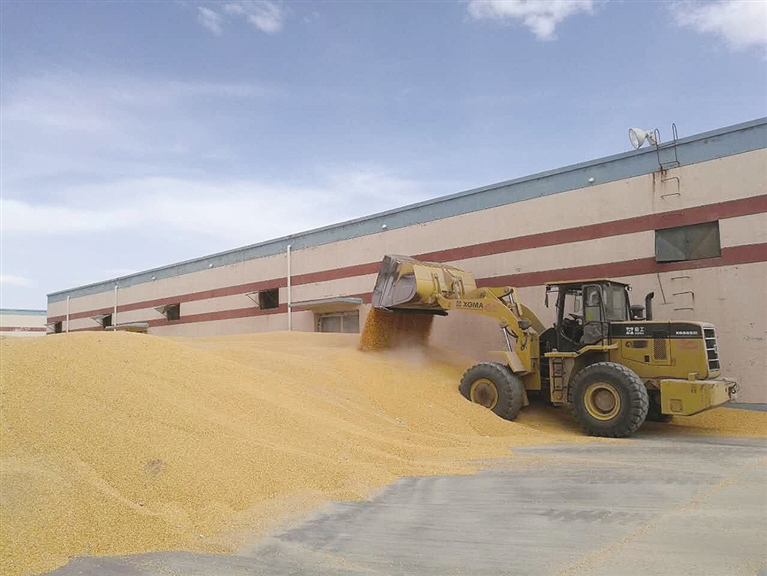 河套面粉5公斤富硒粉(富硒面粉和普通面粉有什么区别)-硒宝网