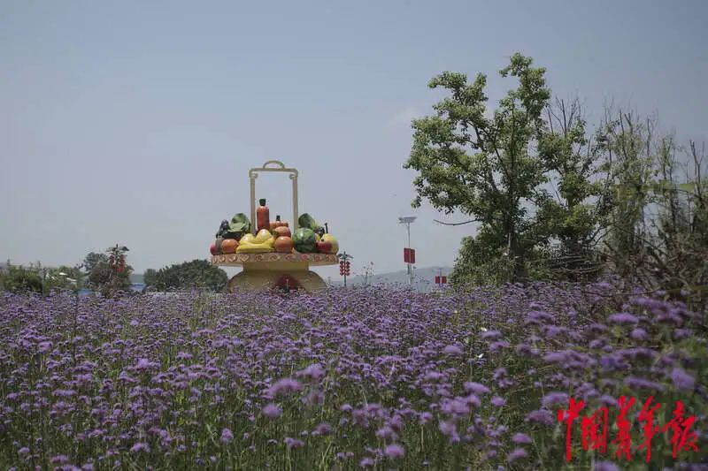 如何打造富硒蔬菜大棚（蔬菜大棚的好处）-硒宝网