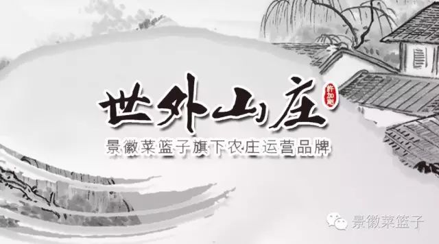 如何打造富硒蔬菜大棚(蔬菜大棚项目)-硒宝网