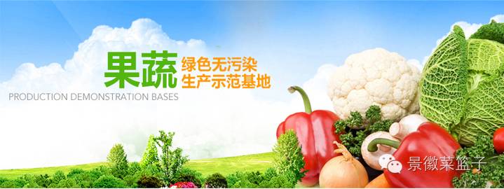 如何打造富硒蔬菜大棚(蔬菜大棚项目)-硒宝网