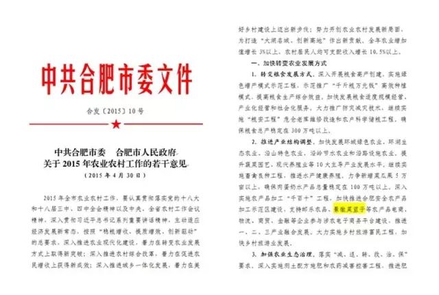 如何打造富硒蔬菜大棚(蔬菜大棚项目)-硒宝网